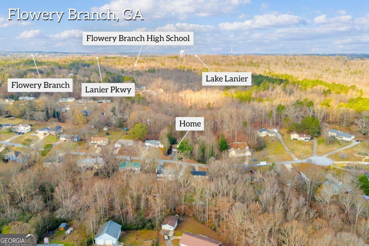 4661 Spring Ridge Drive Flowery Branch - 2