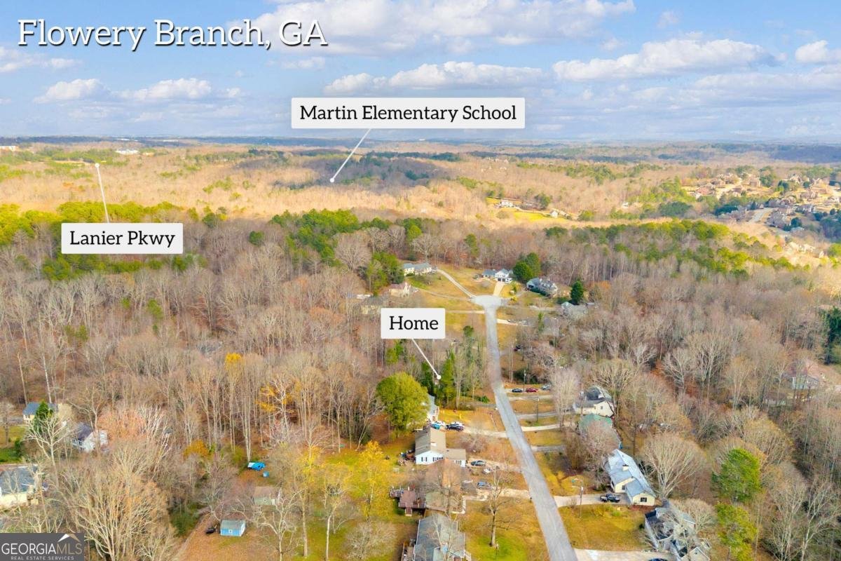 4661 Spring Ridge Drive Flowery Branch - 4