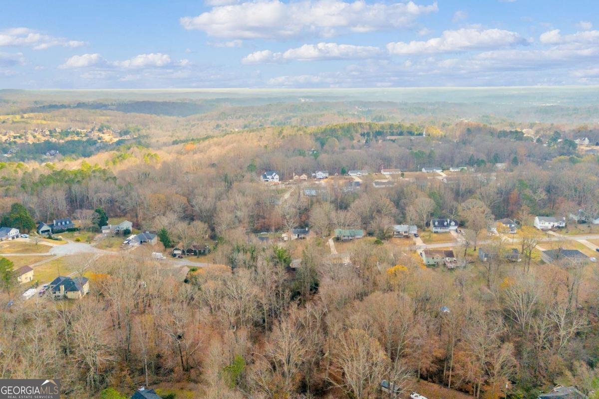 4661 Spring Ridge Drive Flowery Branch - 5