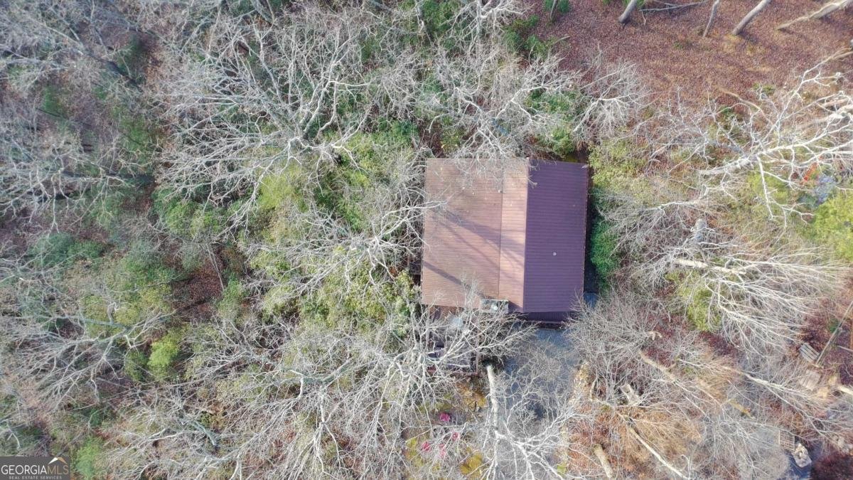 152 Broken Arrow Path Blue Ridge - 41