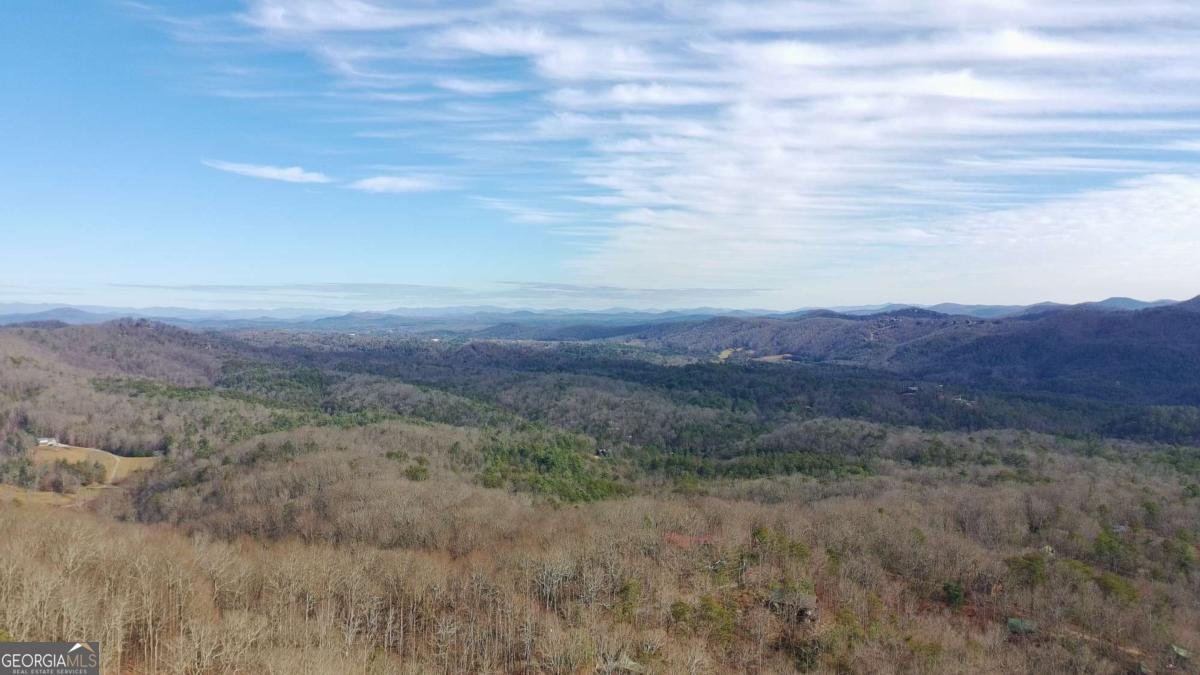 152 Broken Arrow Path Blue Ridge - 46