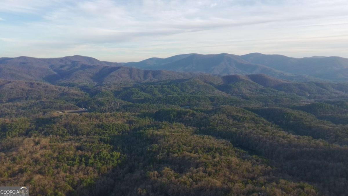 152 Broken Arrow Path Blue Ridge - 47