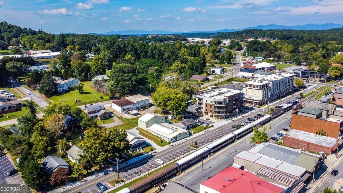 152 Broken Arrow Path Blue Ridge - 49