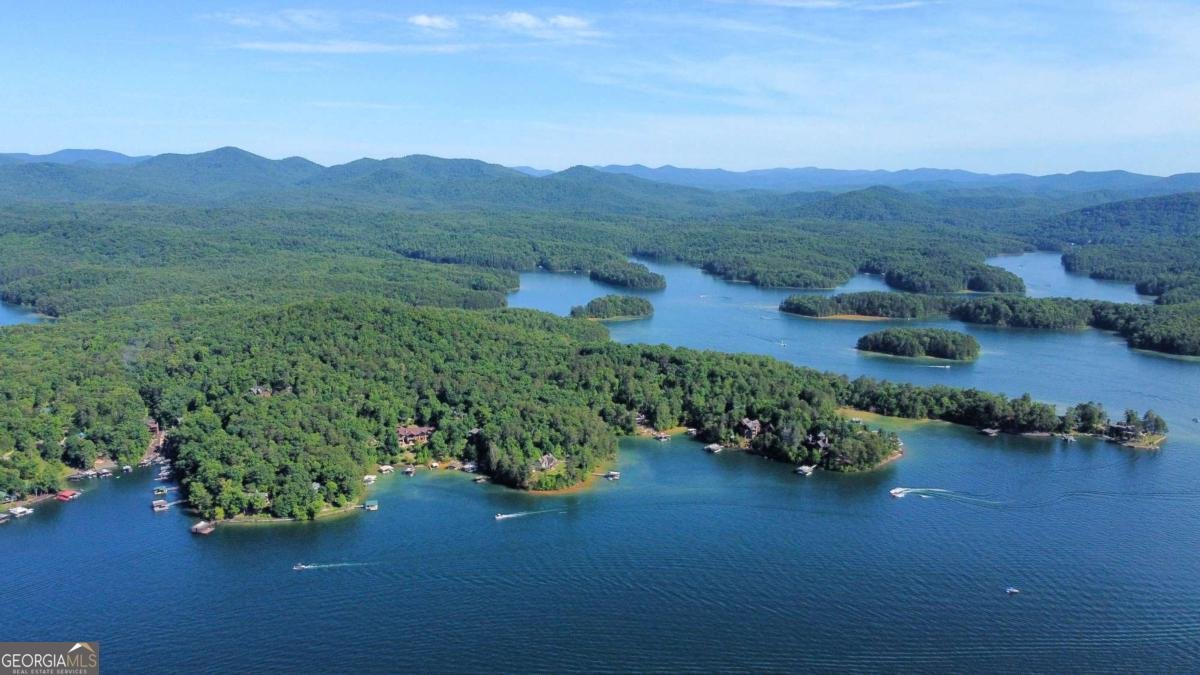 152 Broken Arrow Path Blue Ridge - 55