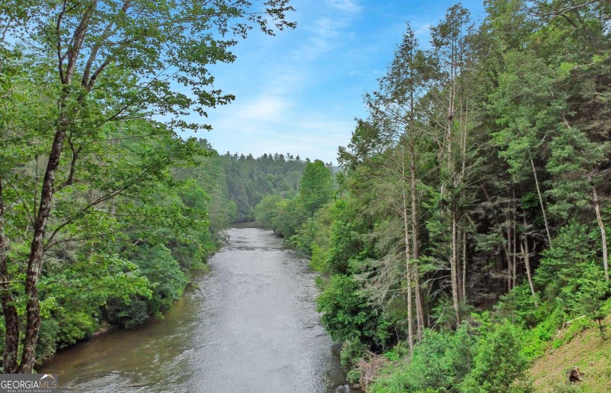 152 Broken Arrow Path Blue Ridge - 56