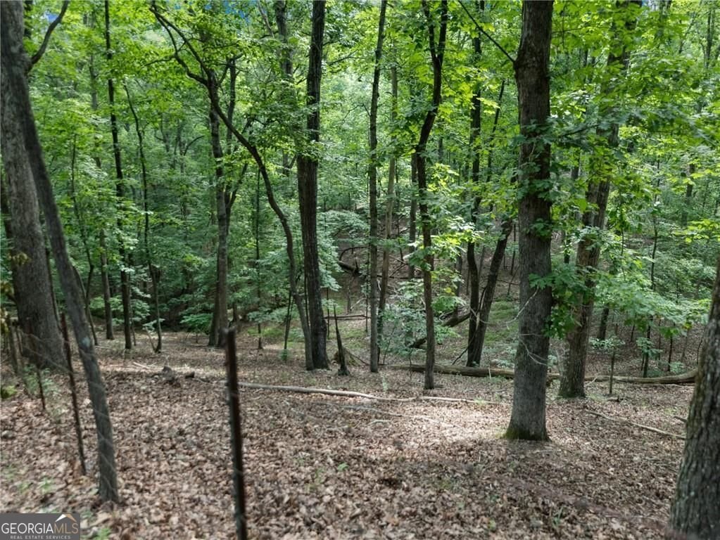 5216 Janice Circle Gainesville - 25