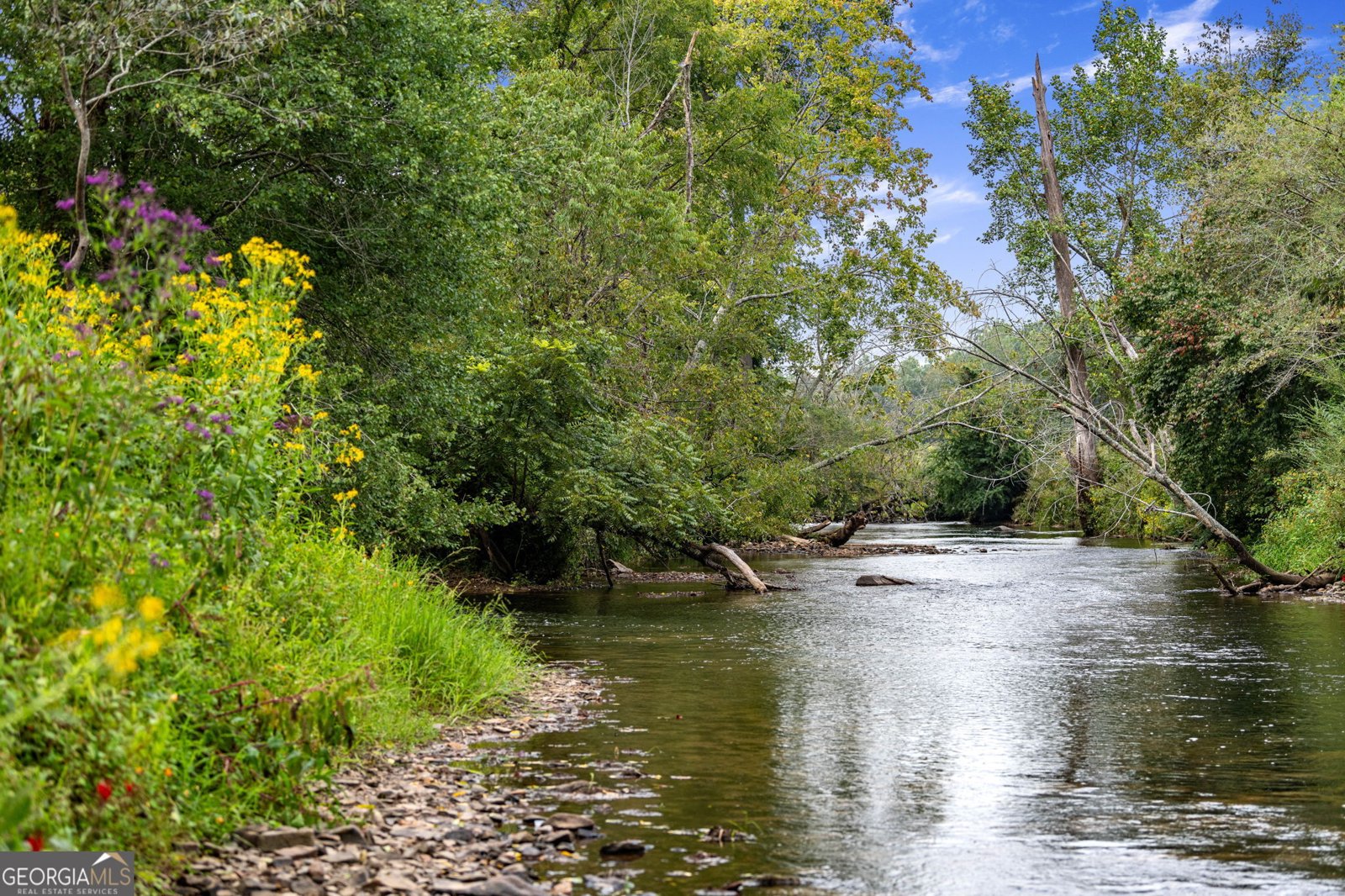 60 Conasauga Creek Ellijay - 2