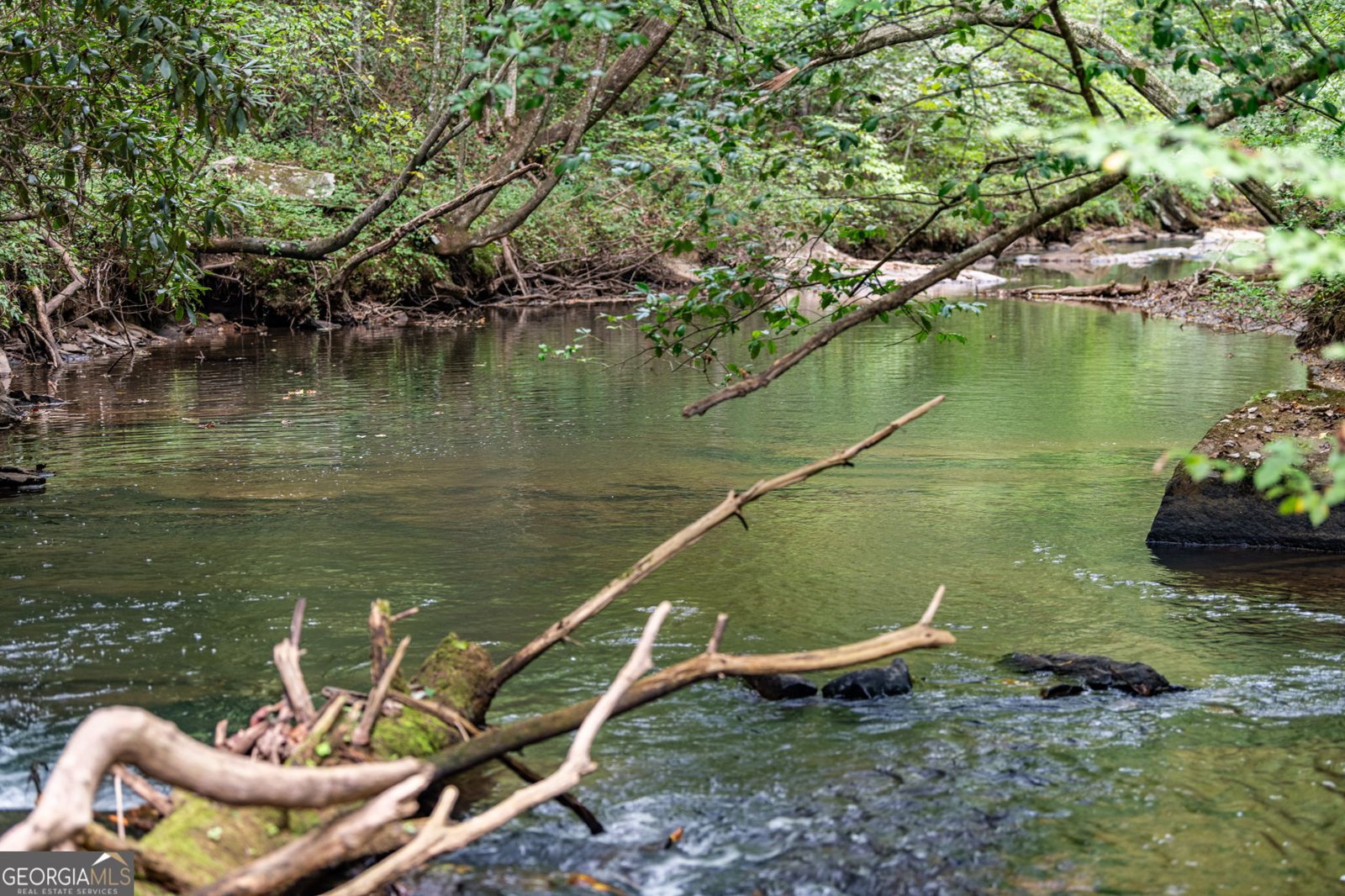 60 Conasauga Creek Ellijay - 24