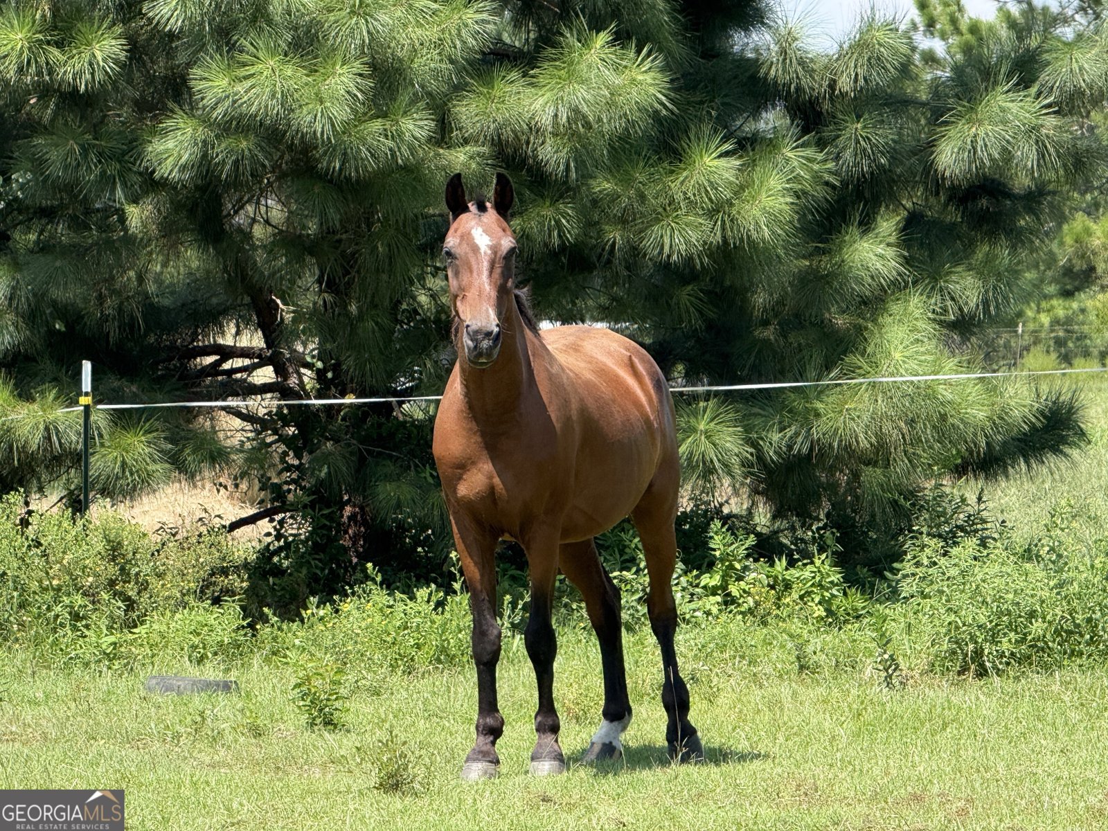 718 Jamestown Road Cordele - 33