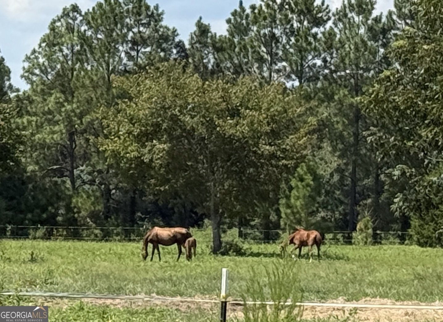 718 Jamestown Road Cordele - 41