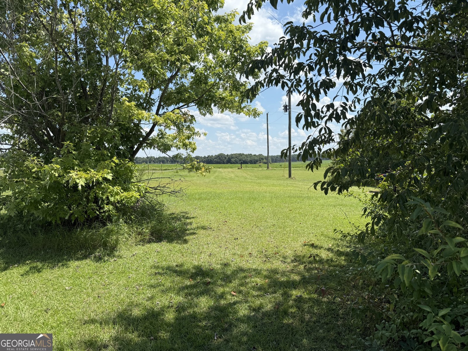 718 Jamestown Road Cordele - 45