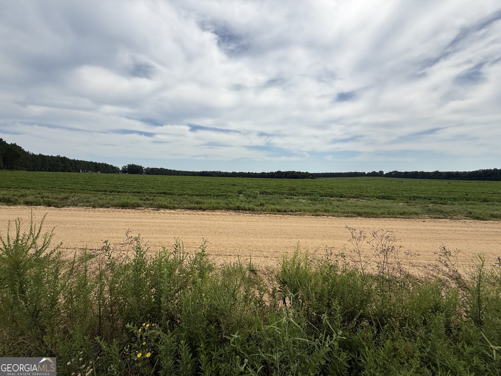 718 Jamestown Road Cordele - 50