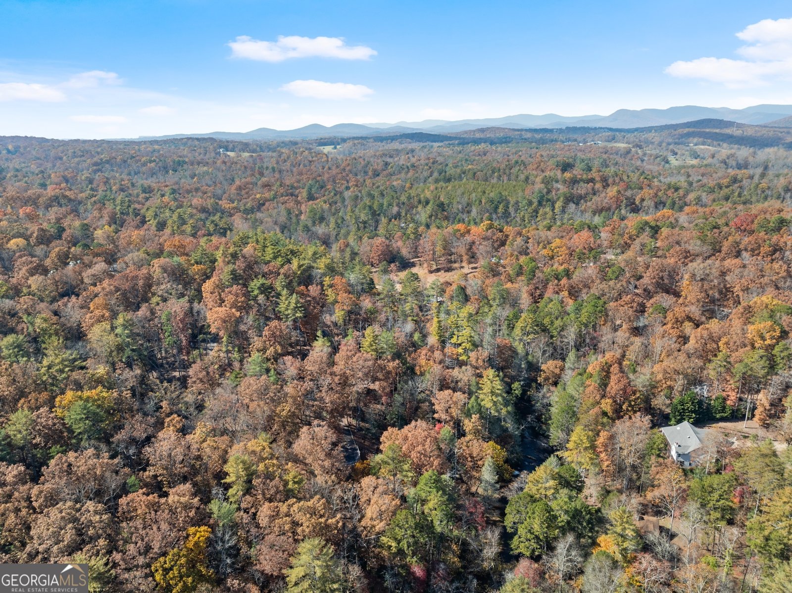 893 Hooper Road Cleveland - 62