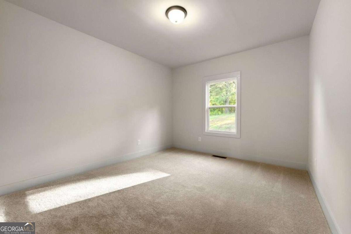 204 Races Road Hoschton - 18