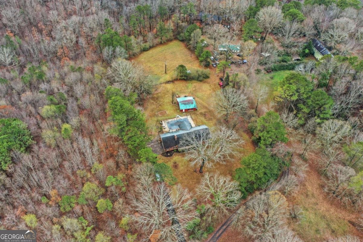 253 Newt Fowler Lane Canton - 9