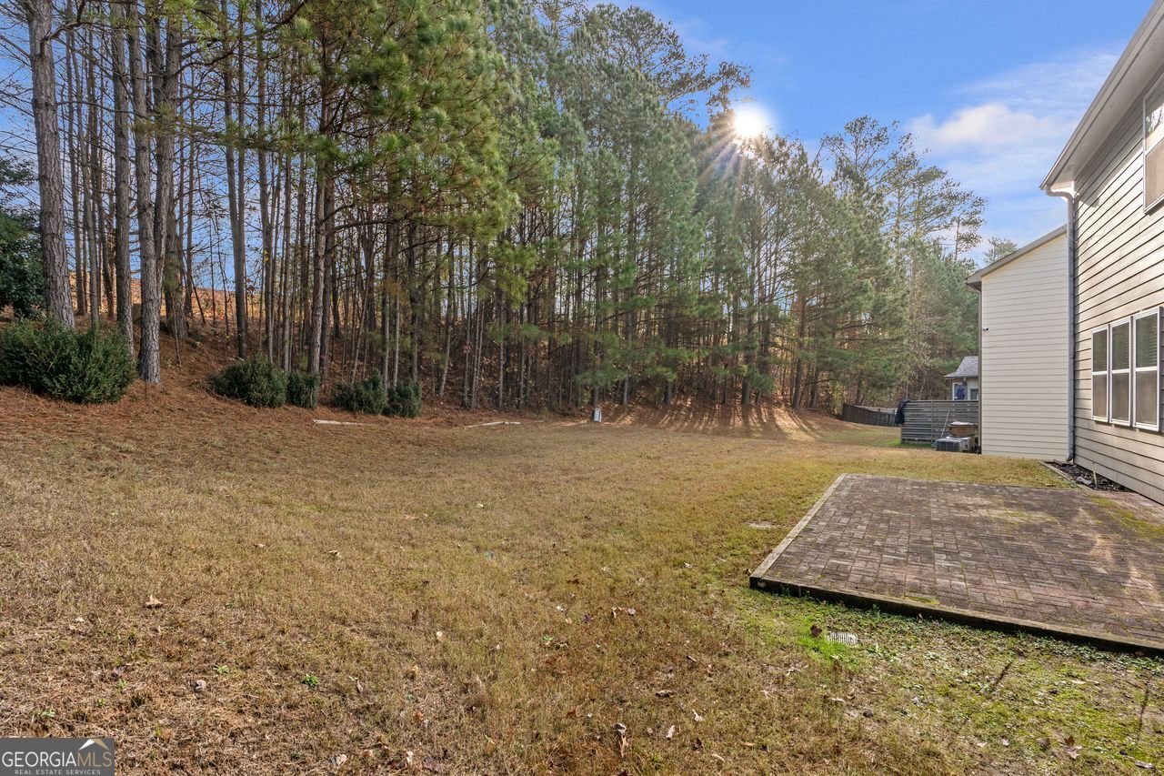 1001 Lanier Springs Court Buford - 33