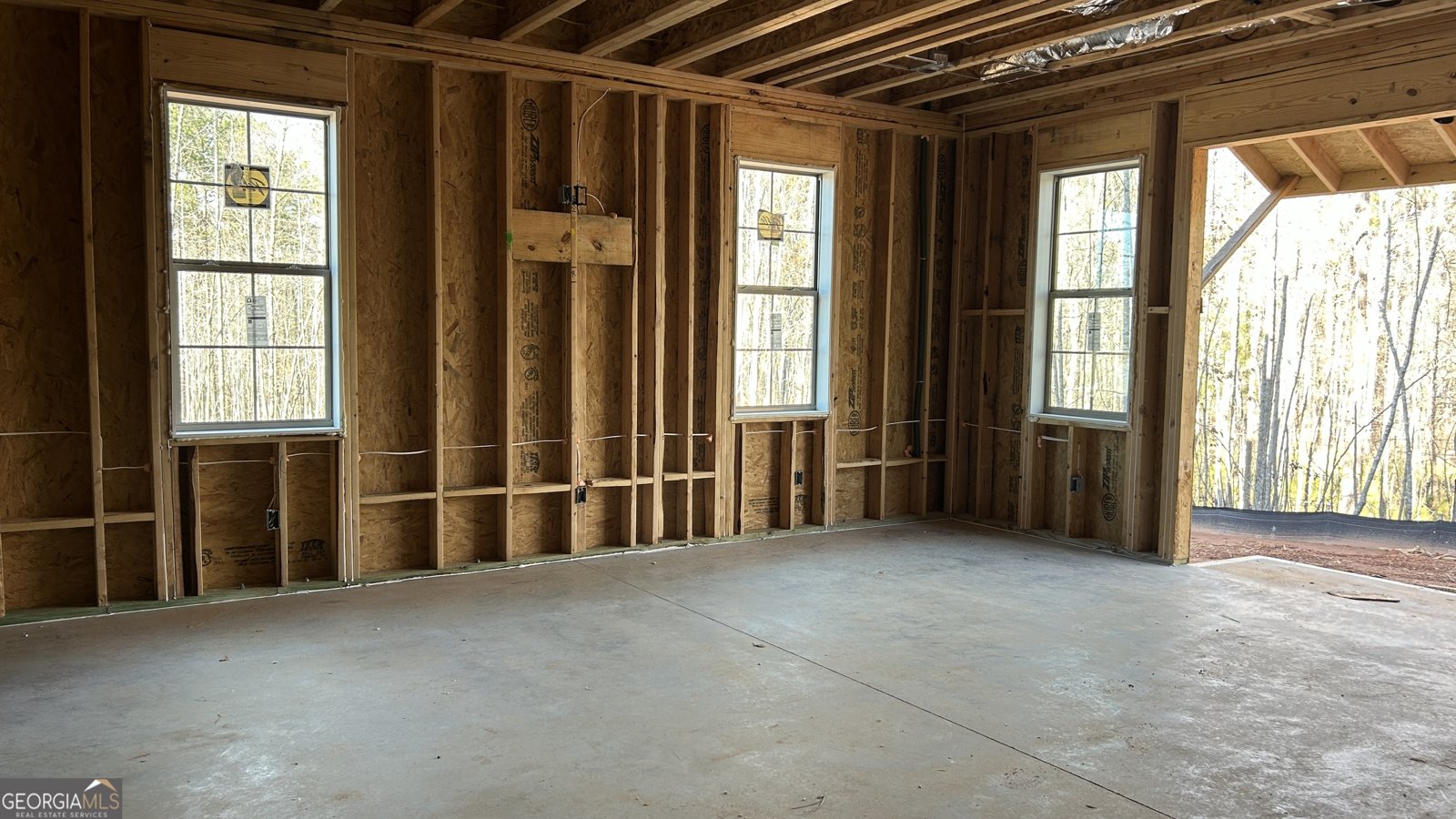 0 Forest Berry Court Newnan - 12