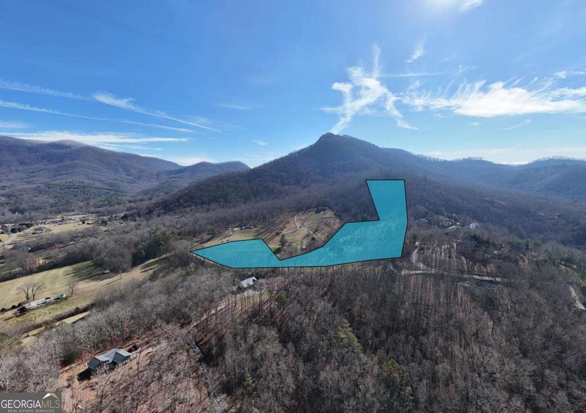 215 Harmony Lane Hiawassee - 63