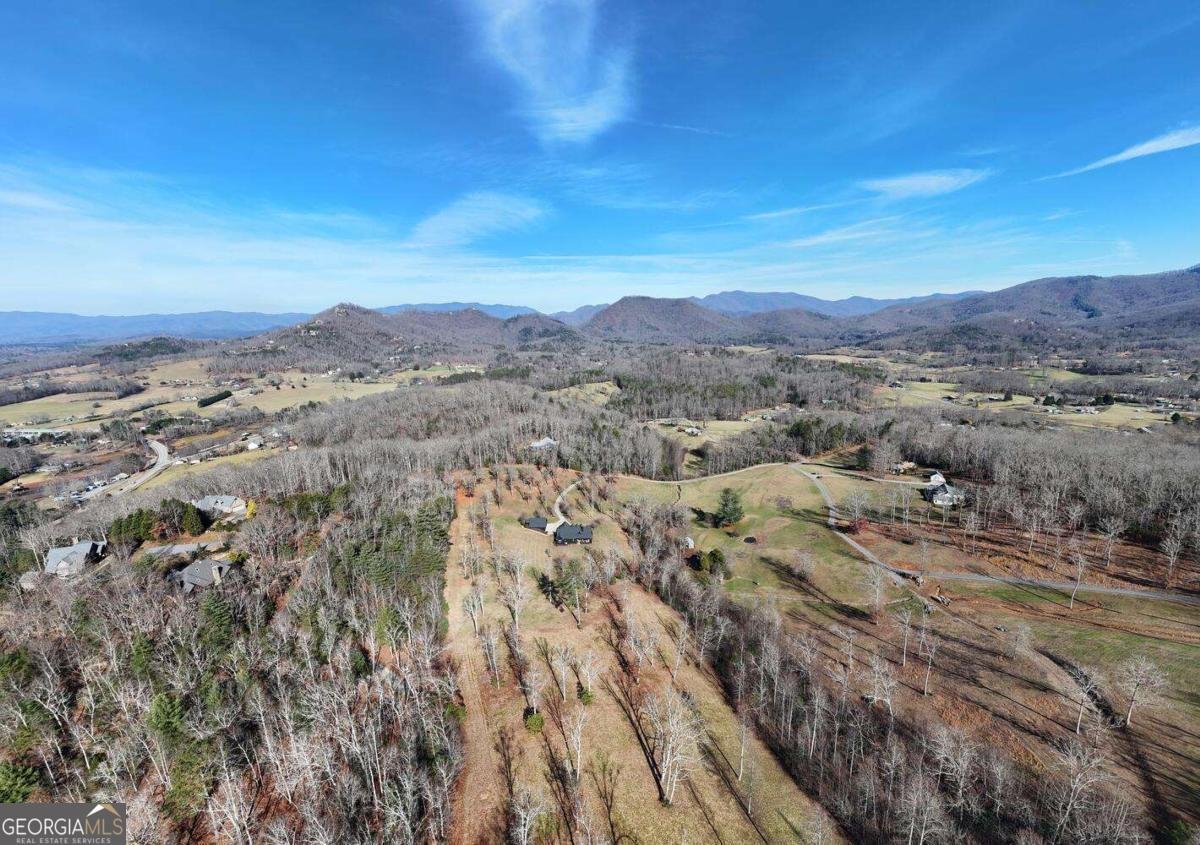 215 Harmony Lane Hiawassee - 66