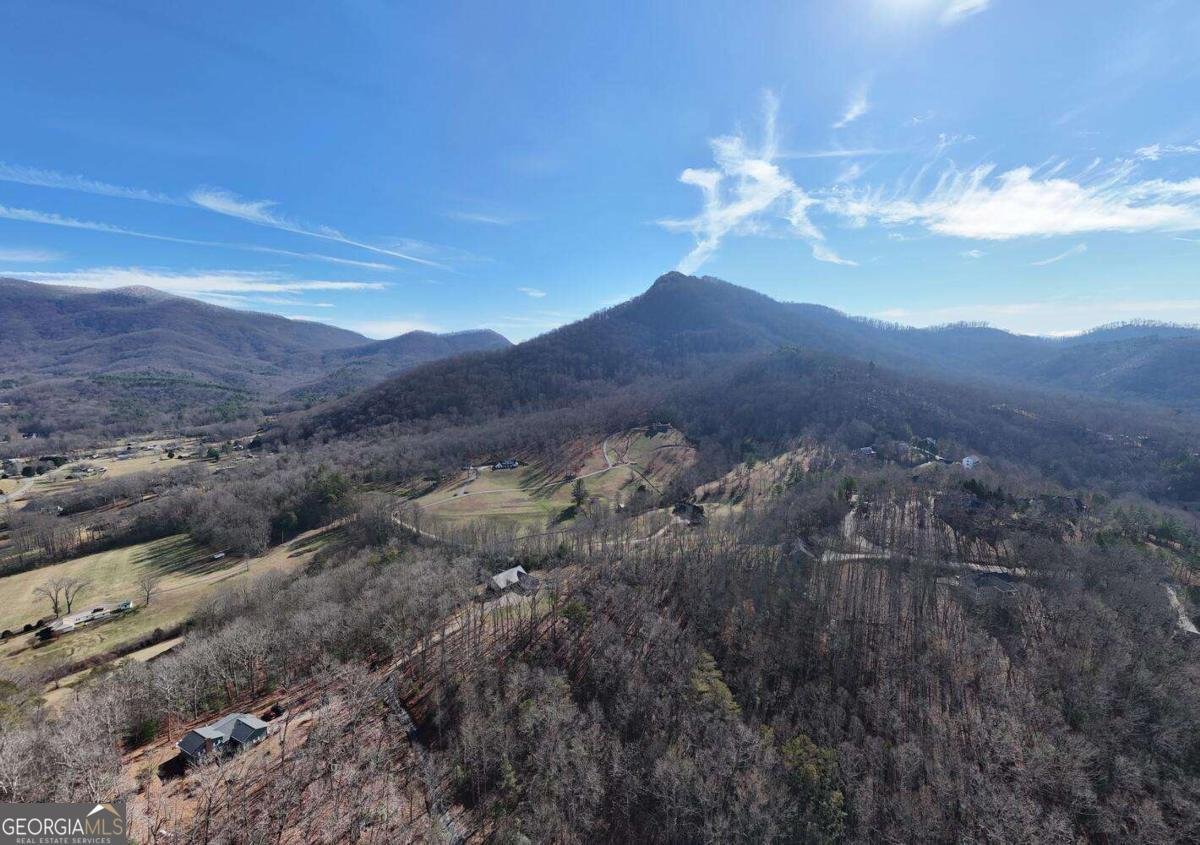 215 Harmony Lane Hiawassee - 69