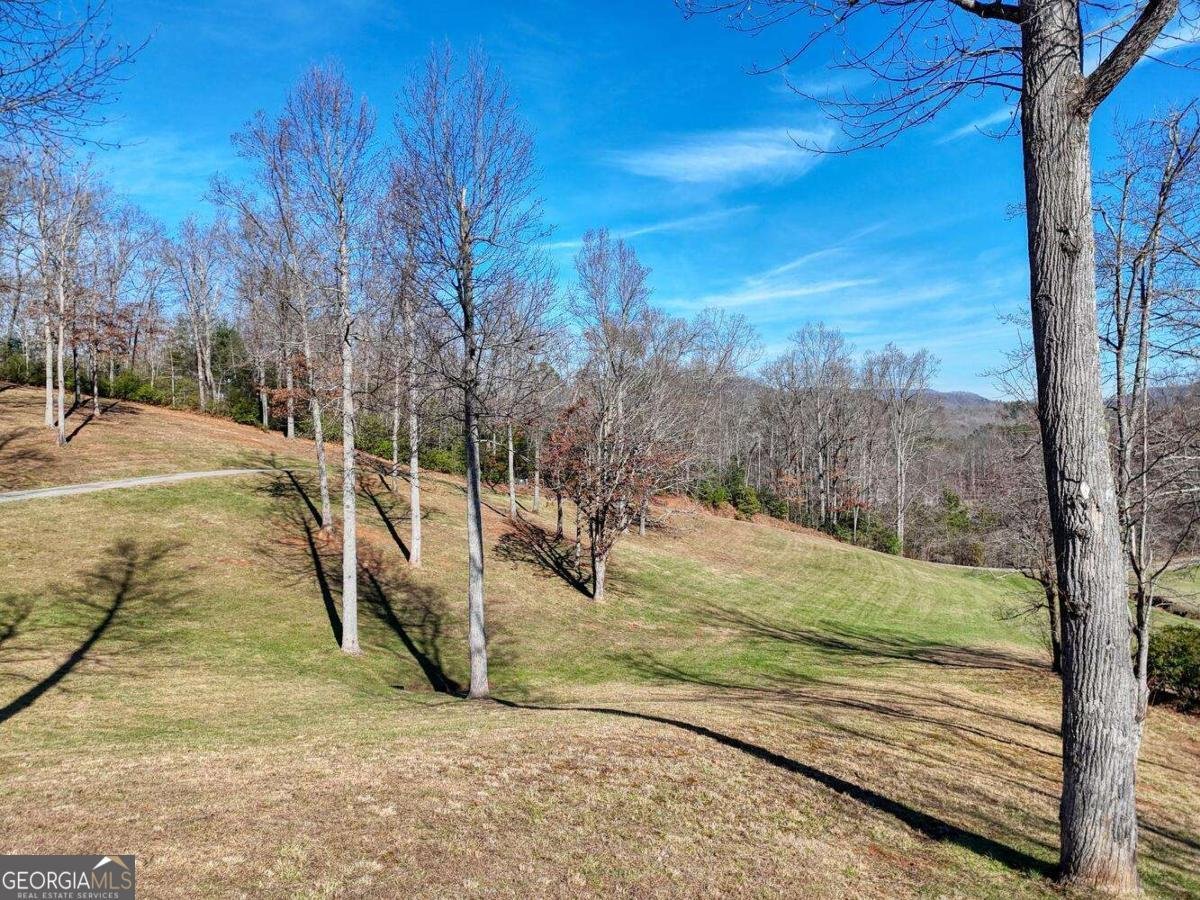 215 Harmony Lane Hiawassee - 75