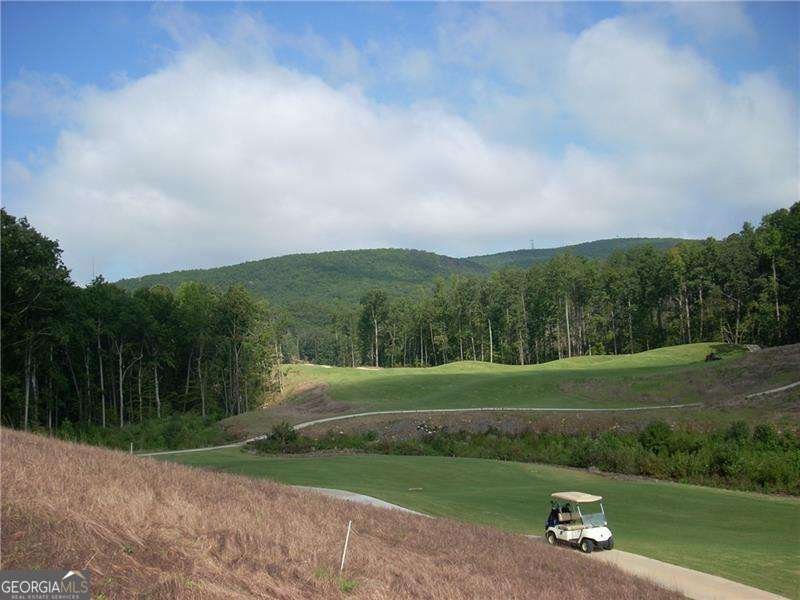 101 Coati Court Waleska - 26