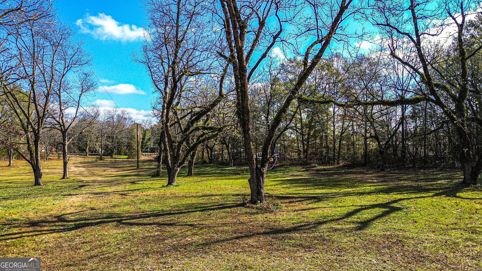 587 Highway 41 N Milner - 142