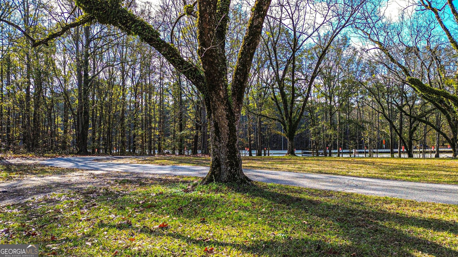 587 Highway 41 N Milner - 145