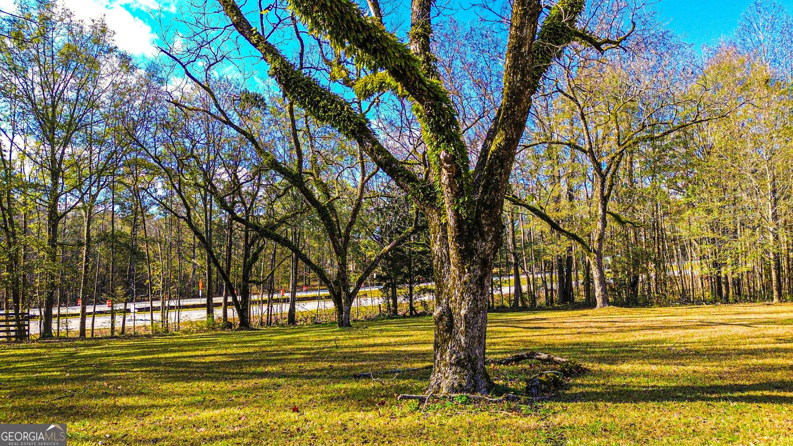 587 Highway 41 N Milner - 169