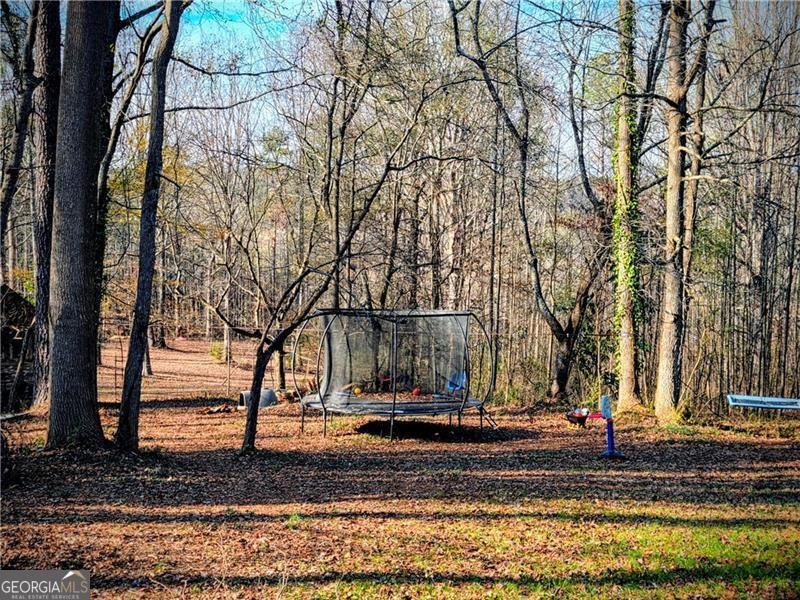 1173 Dabbs Bridge Road Dallas - 39