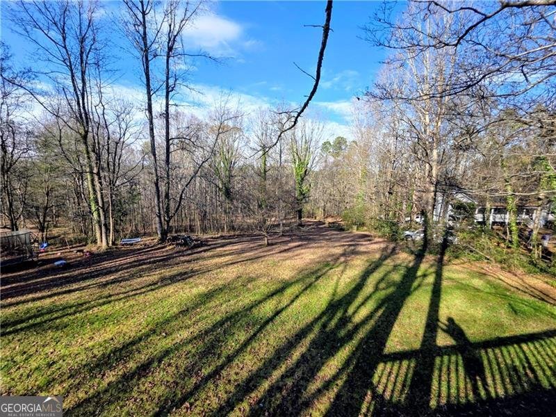 1173 Dabbs Bridge Road Dallas - 40