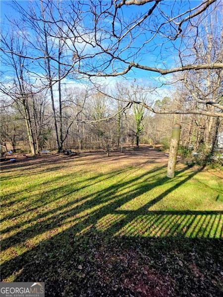 1173 Dabbs Bridge Road Dallas - 41