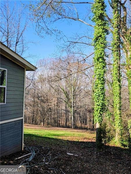 1173 Dabbs Bridge Road Dallas - 42