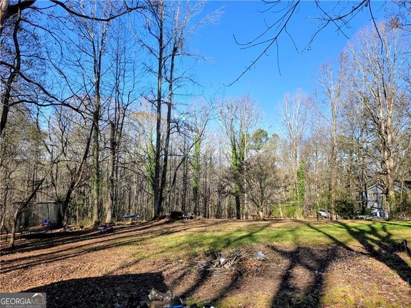 1173 Dabbs Bridge Road Dallas - 44