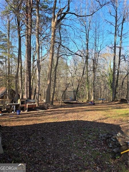 1173 Dabbs Bridge Road Dallas - 46