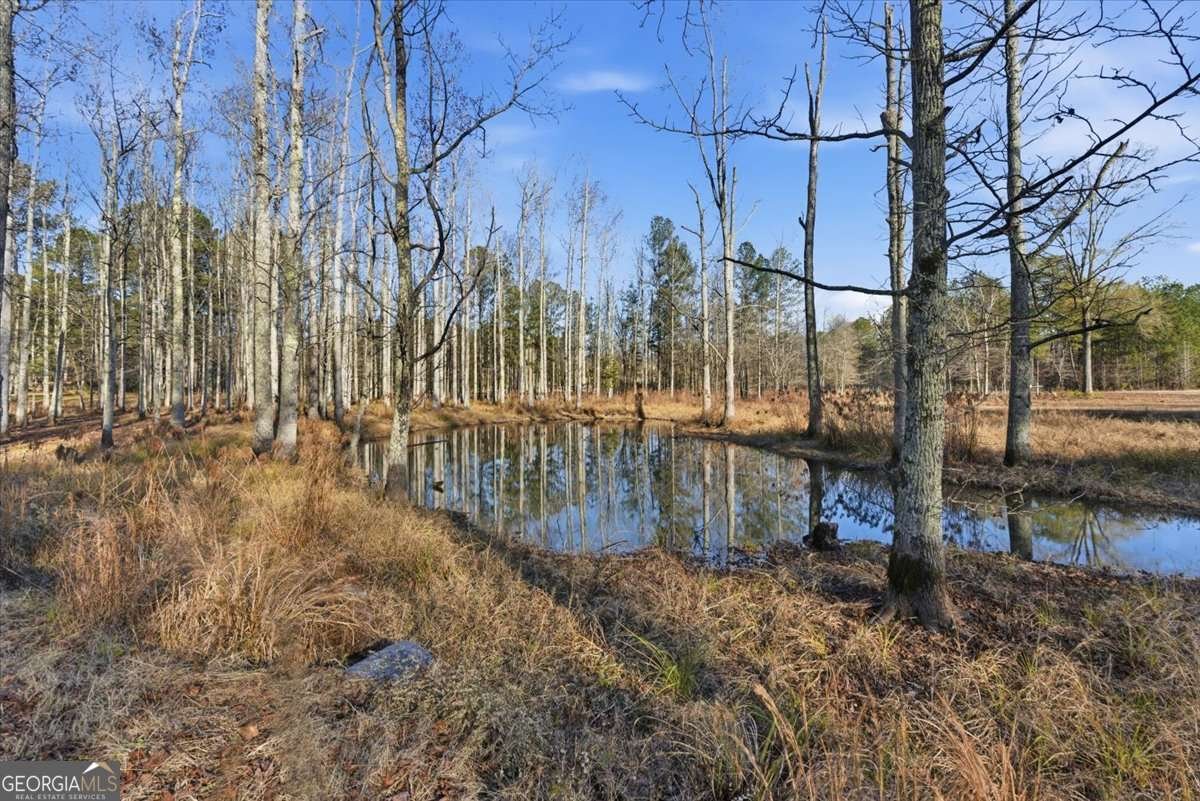 11 Appaloosa Court Taylorsville - 64