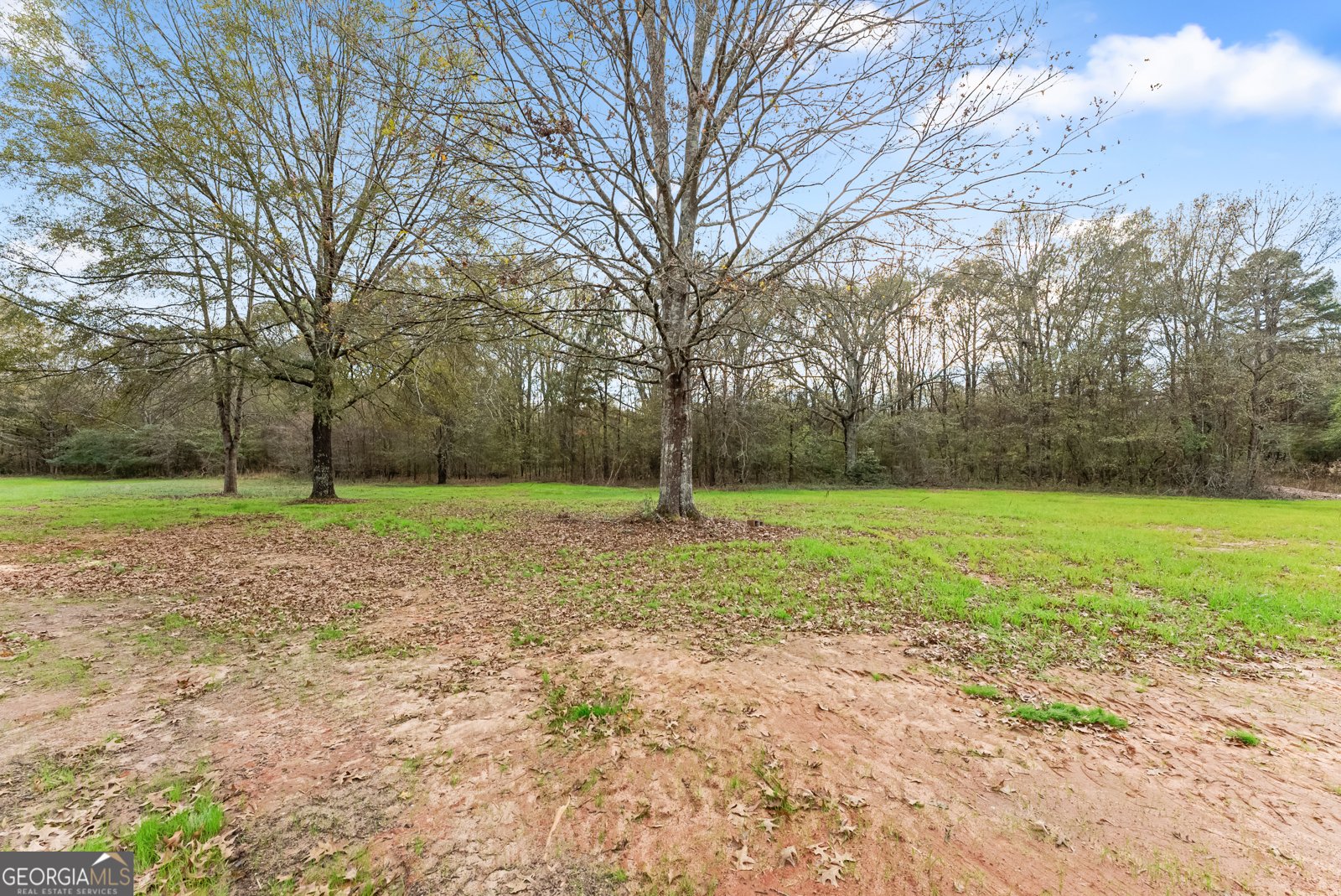 1150 Boyd Road Statham - 42