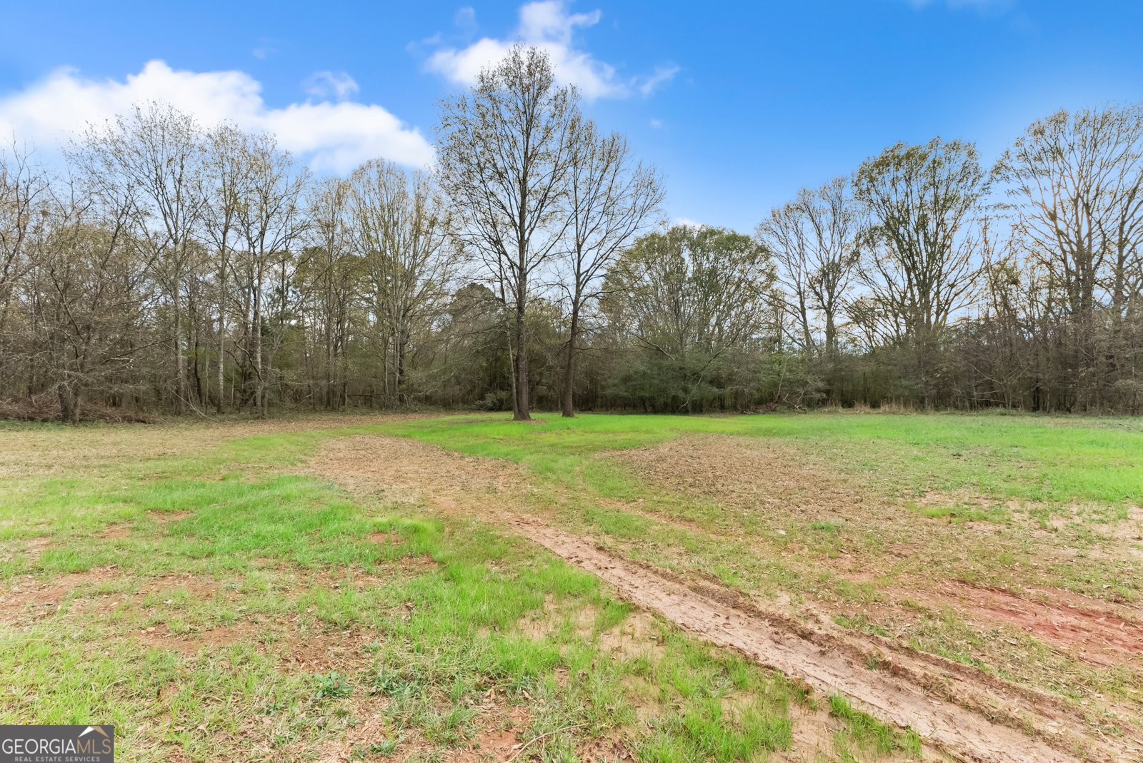 1150 Boyd Road Statham - 43