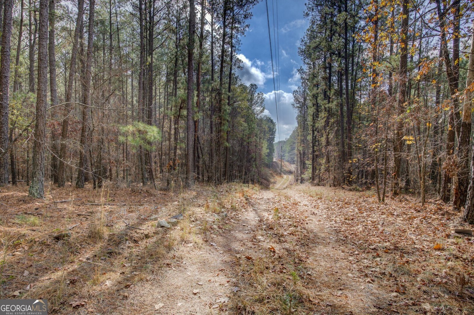 92 Marben Farm Road Shady Dale - 22