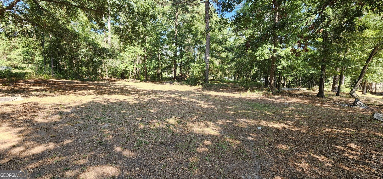 299 Virginia Lane Macon - 14