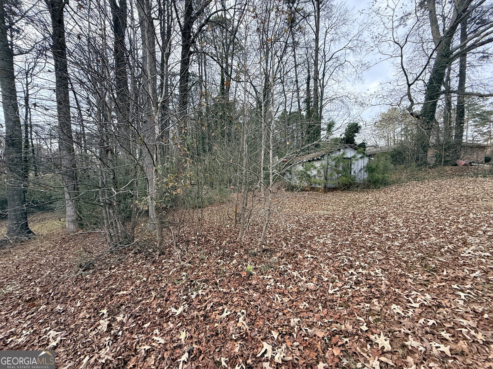 2743 Pine Hill Drive Kennesaw - 20