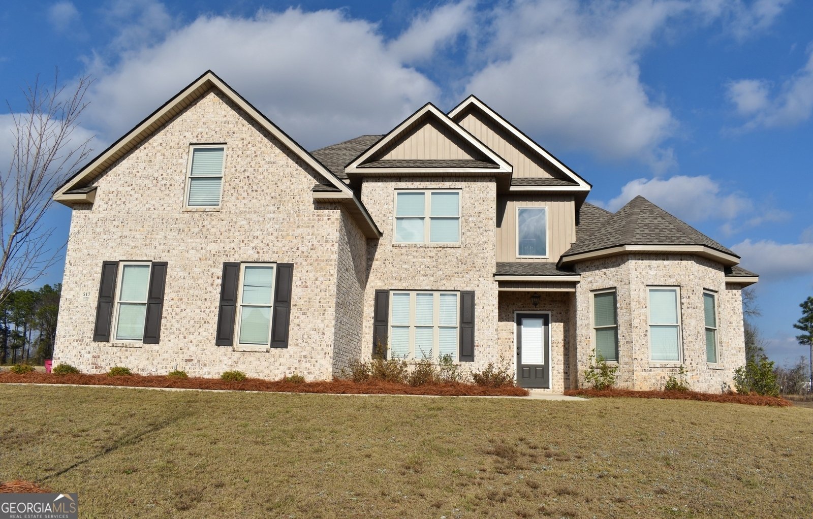 517 Capers Lane Lizella - main photo