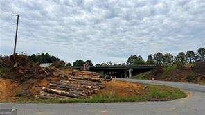 411 Cedar Creek Road Cartersville - 55