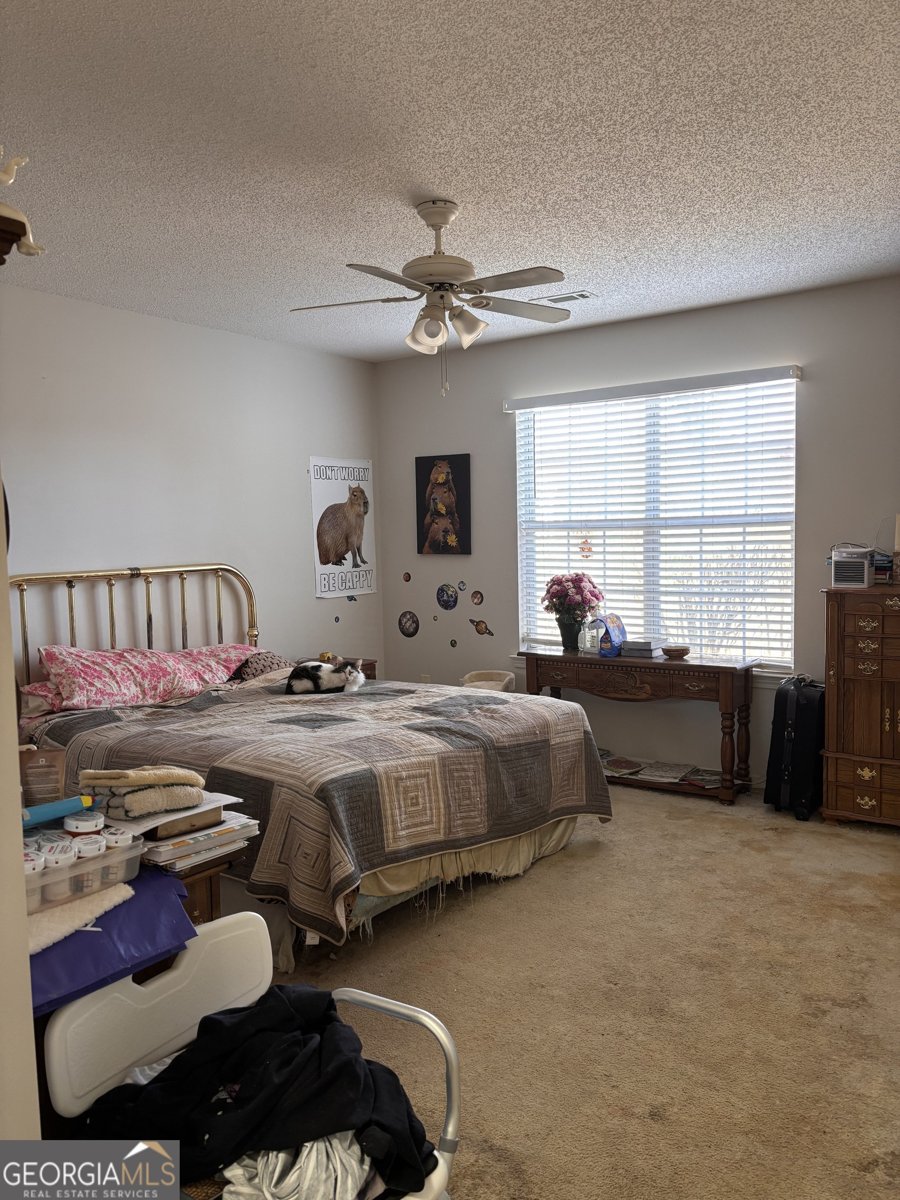 47 Deer Run Williamson - 10