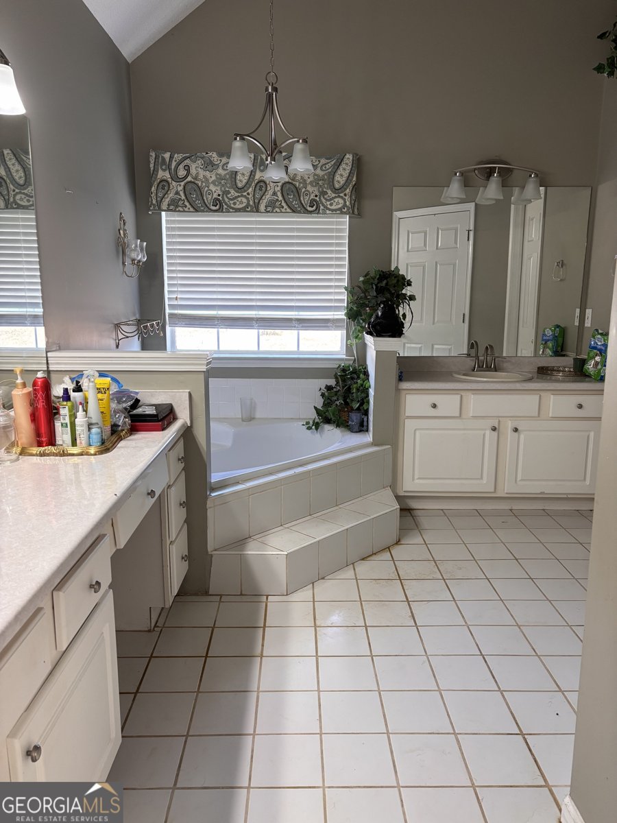 47 Deer Run Williamson - 12