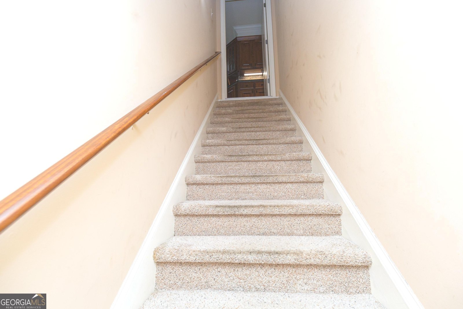 501 Smithson Crossing McDonough - 46