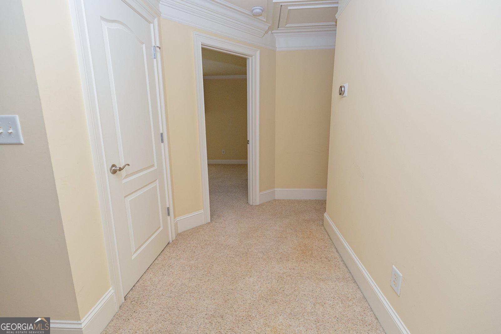 501 Smithson Crossing McDonough - 68