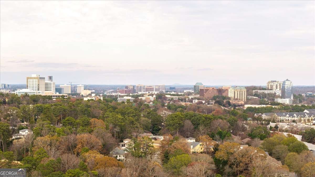 2252 Parkwood Place Court Smyrna - 91