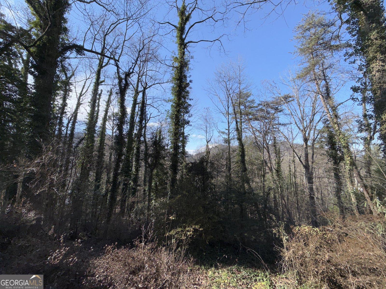 55 Wallace Street Clayton - 2