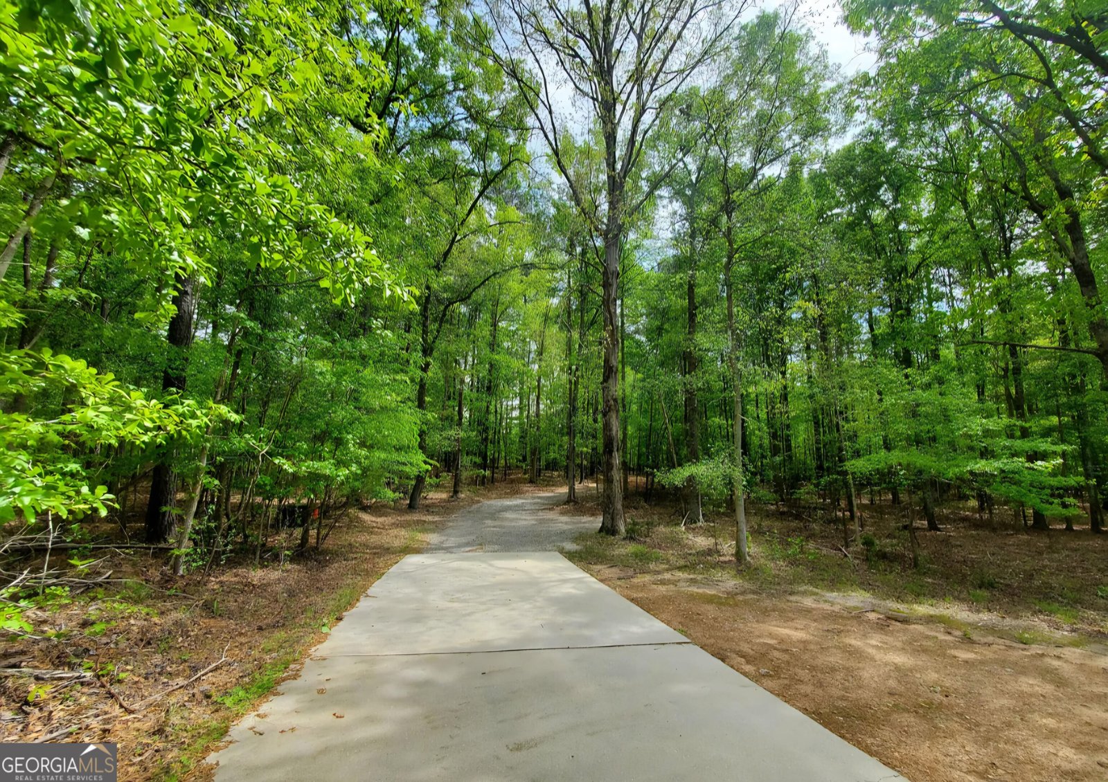 453 Jackson Lake Inn Road Jackson - 5